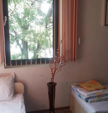 Comfort Guest